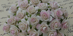 Wild Orchid Crafts Open Roses 2-Tone Ivory/Pale Pink
