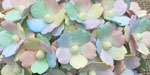 Wild Orchid Craft Sweetheart Blossoms Mixed Pastel Rainbow RESTOCKED!